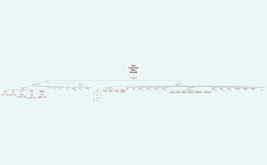 Struktur Organisasi Marketing Team (1)