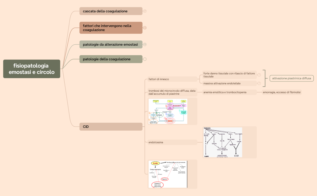 fisiopatologia emostasi e circolo