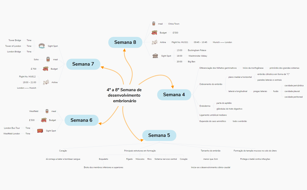 4_a_8_Semana_de_desenvolvimento_embrionrio-hiqekb-mjYDvkL-02847