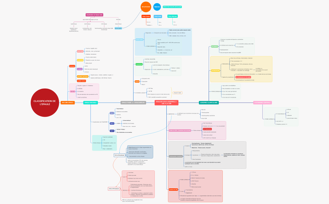 Classification de l'epaule
