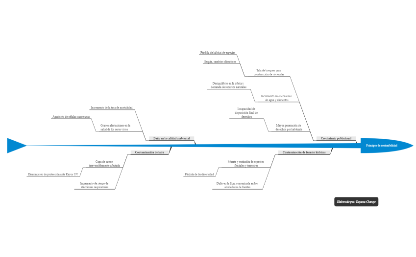 Diagrama causa-efecto principio ambiental internacional