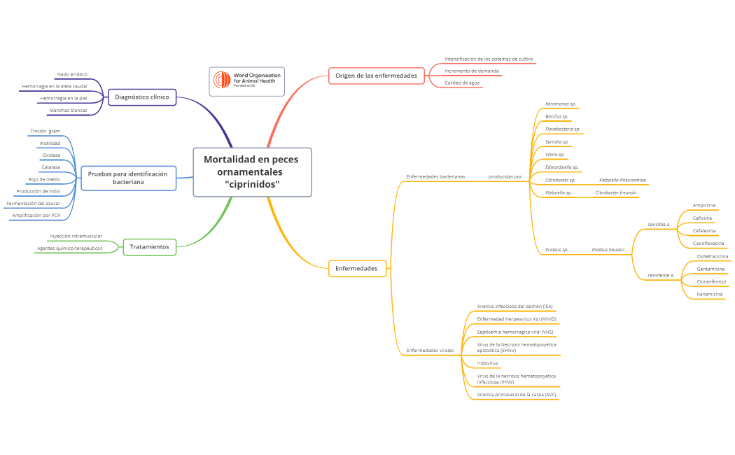 Mortalidad en carpas Koi