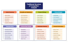 Traditional Structure of Competitor Analysis
