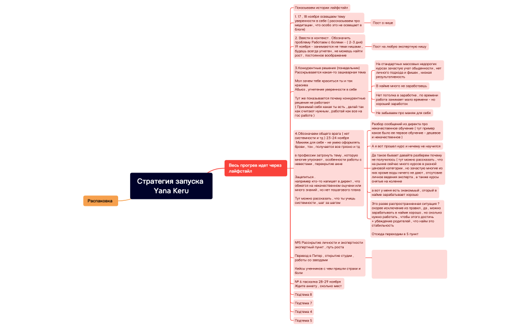 Стратегия запуска Yana Keru