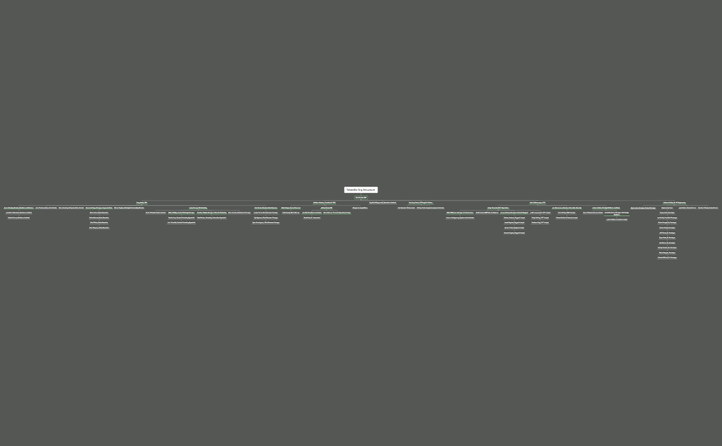 TokenEx Org Structure 6.1.22
