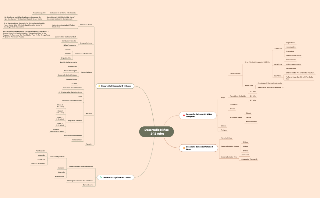 Desarrollo niños    2-12 años