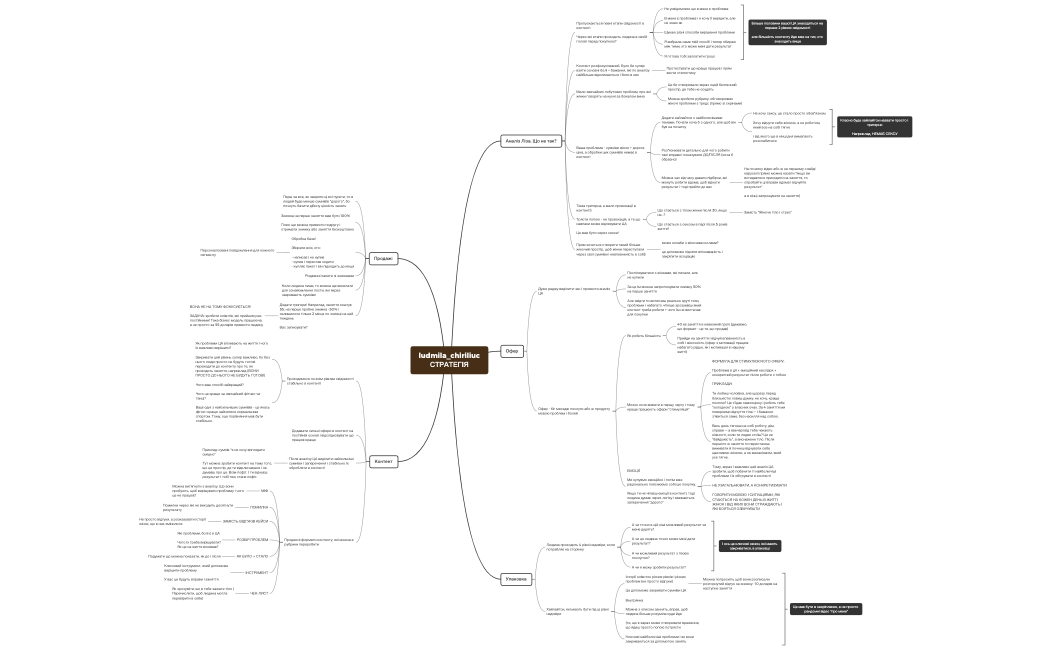 ludmila_chiriliuc СТРАТЕГІЯ