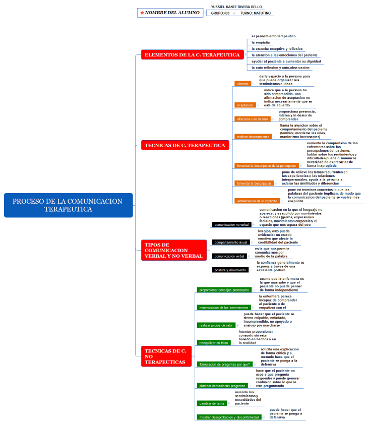 proceso de la comunicacion terapeutica