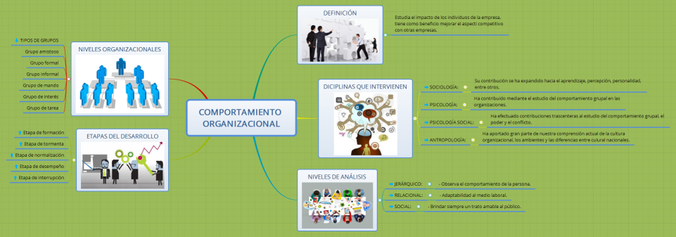 COMPORTAMIENTO ORGANIZACIONAL