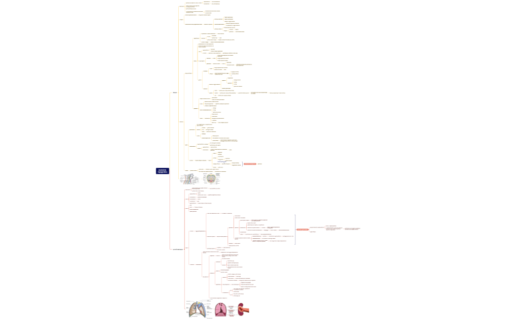 Parentesi graffa mappa