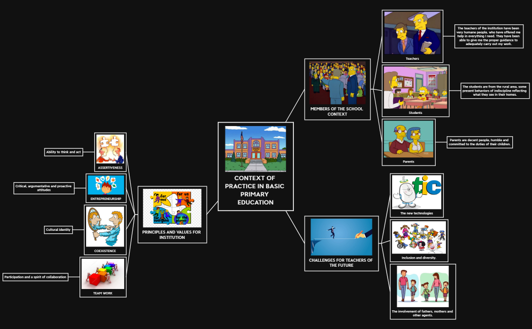 CONTEXT OF PRACTICE IN BASIC PRIMARY EDUCATION