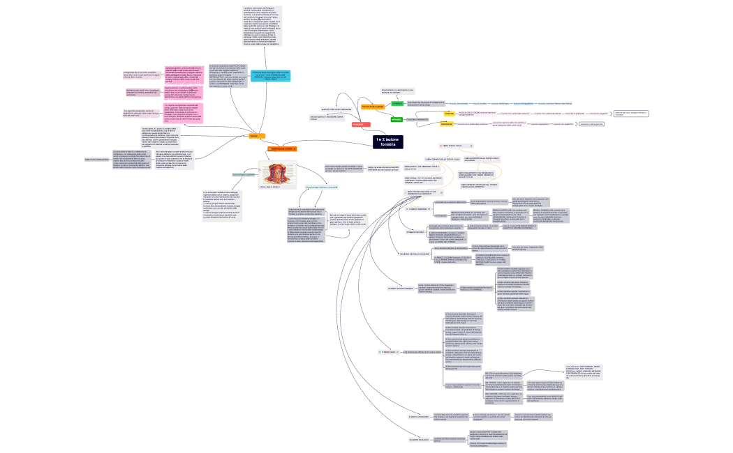 1 e 2 lezione foniatria.xmind