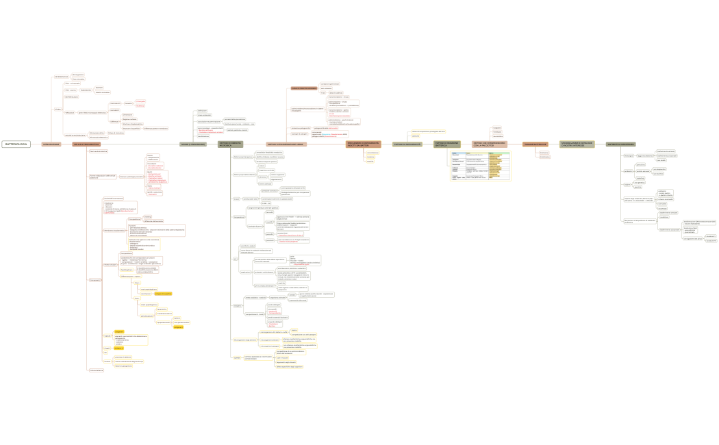 Parentesi graffa mappa