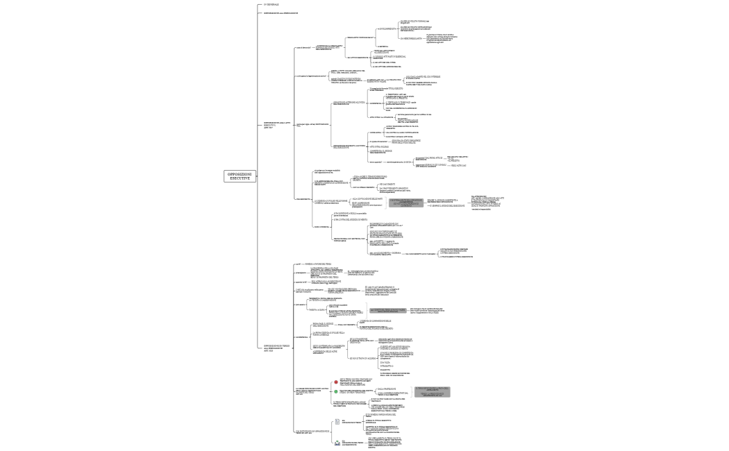 OPPOSIZIONI ESECUTIVE