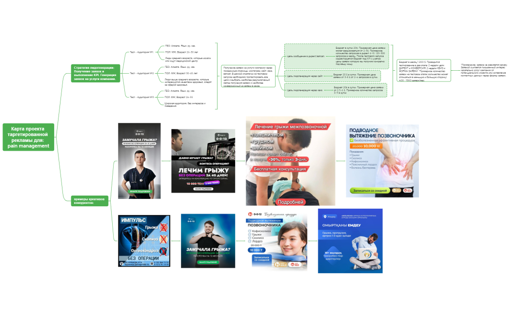Карта проекта таргетированной рекламы для pain management
