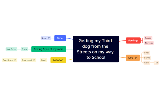 Getting my Third dog from the Streets on my way to School