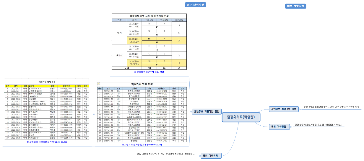 팀장회의록(백영란)