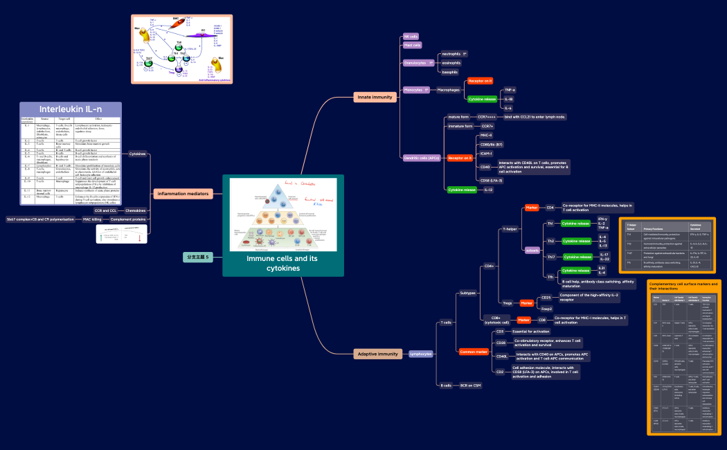 Immune cells and its cytokines.xmind