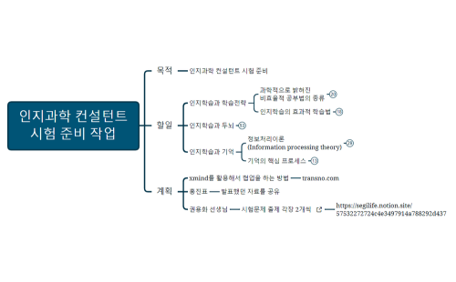 인지과학 컨설턴트 시험 준비 작업