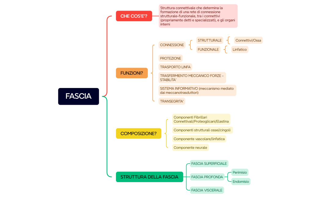 FASCIA