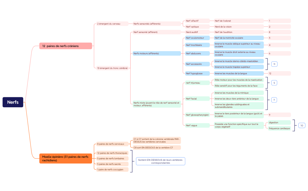 Carte mentale de logique