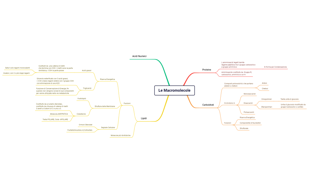 Le Macromolecole.xmind