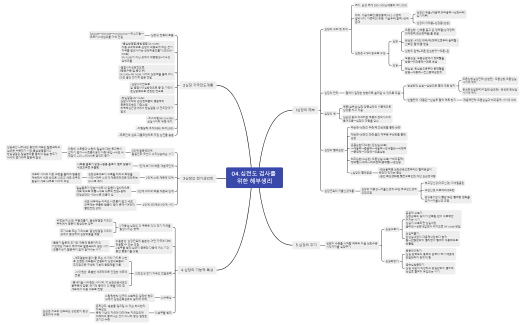 04.심전도 검사를 위한 해부생리