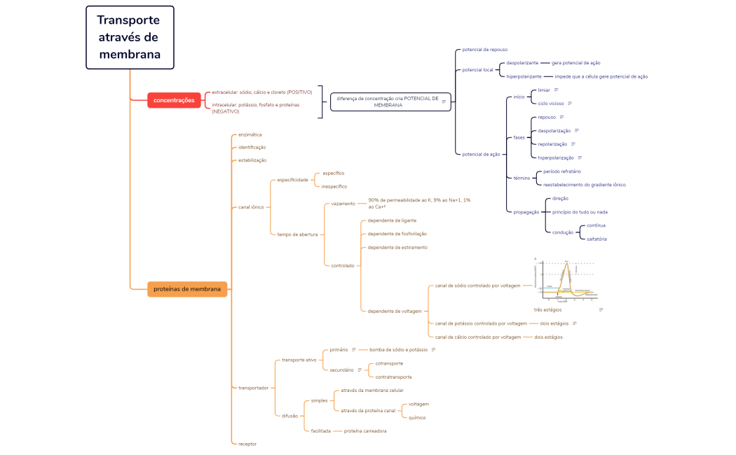 Transporte através de membrana