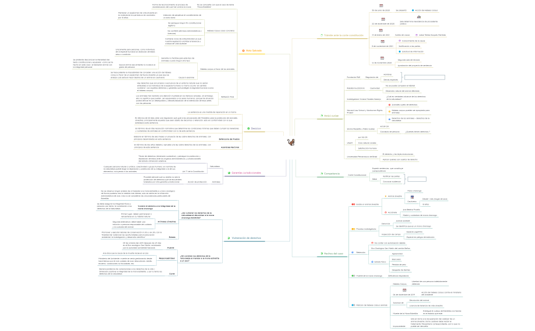 Mona Chorongo Estrellita