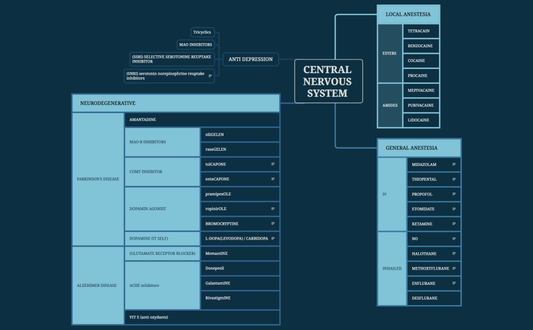 CENTRAL NERVOUS SYSTEM 