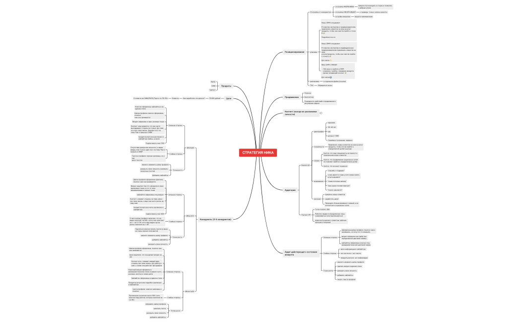 СТРАТЕГИЯ НИКА.xmind