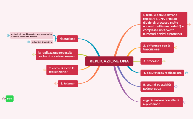 REPLICAZIONE DNA