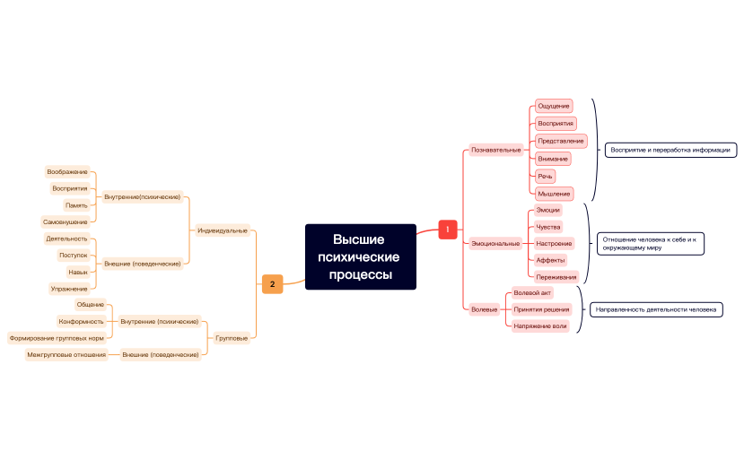 Высшие психические процессы