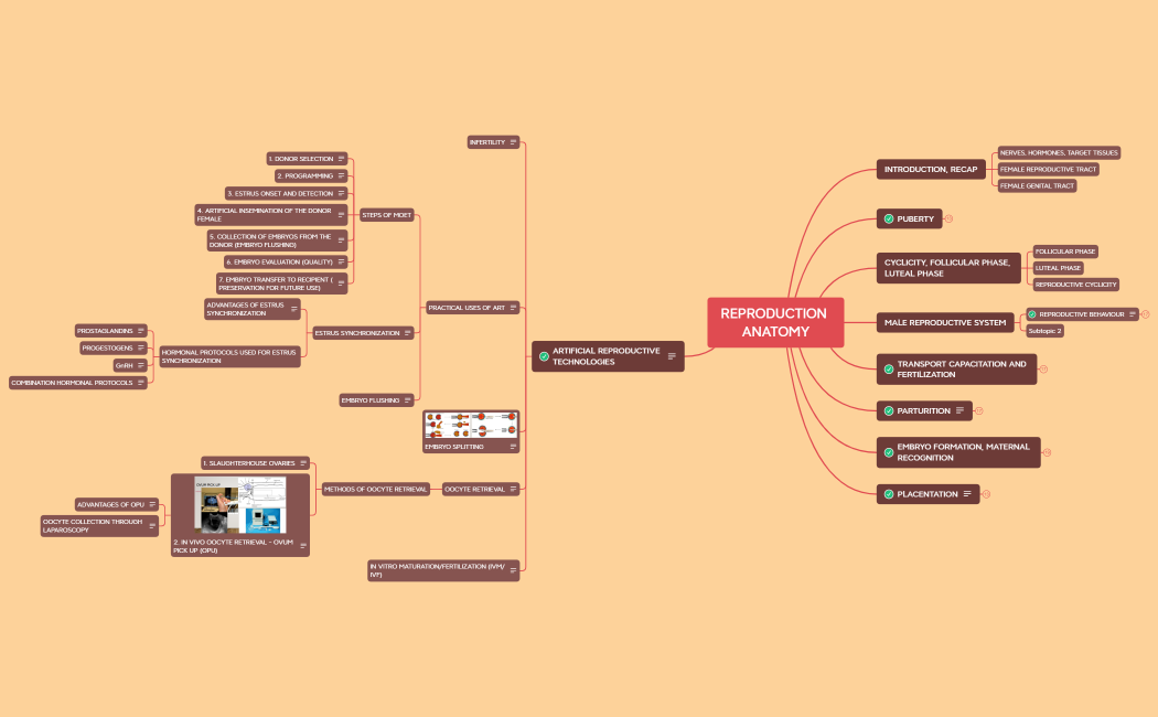REPRODUCTION, 2025.xmind