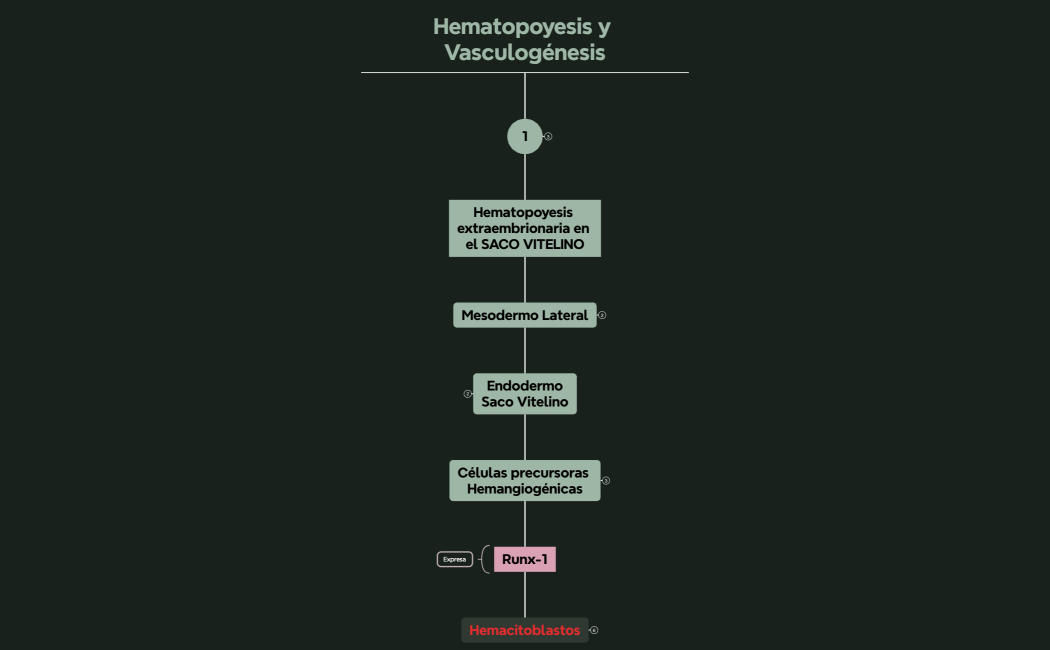 Fundamentos básicos del marco GRAP