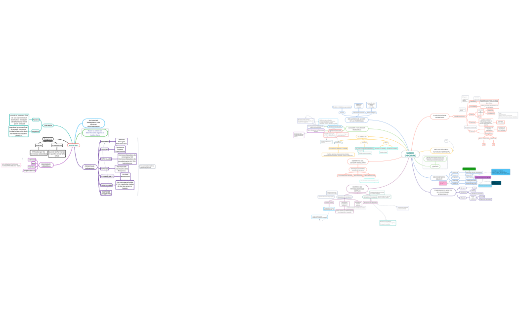 Mapa mental_ Sistema Endocrino