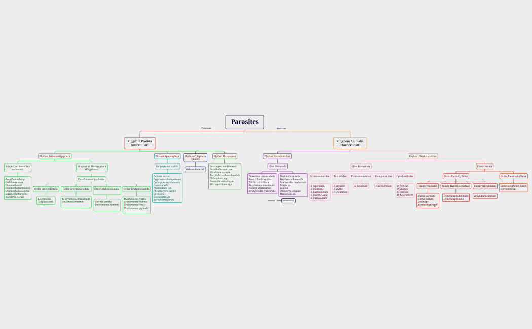 TaxonomyParasitesxmind-ExFJUd-YYEECKX-51163.xmind