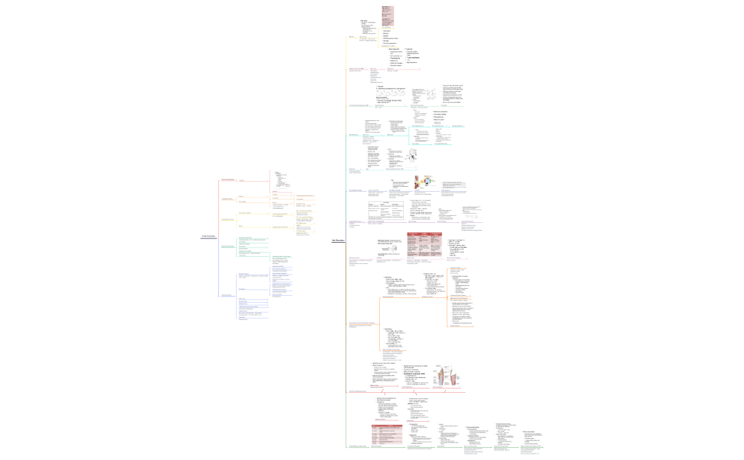 Musculoskeletal Disorders