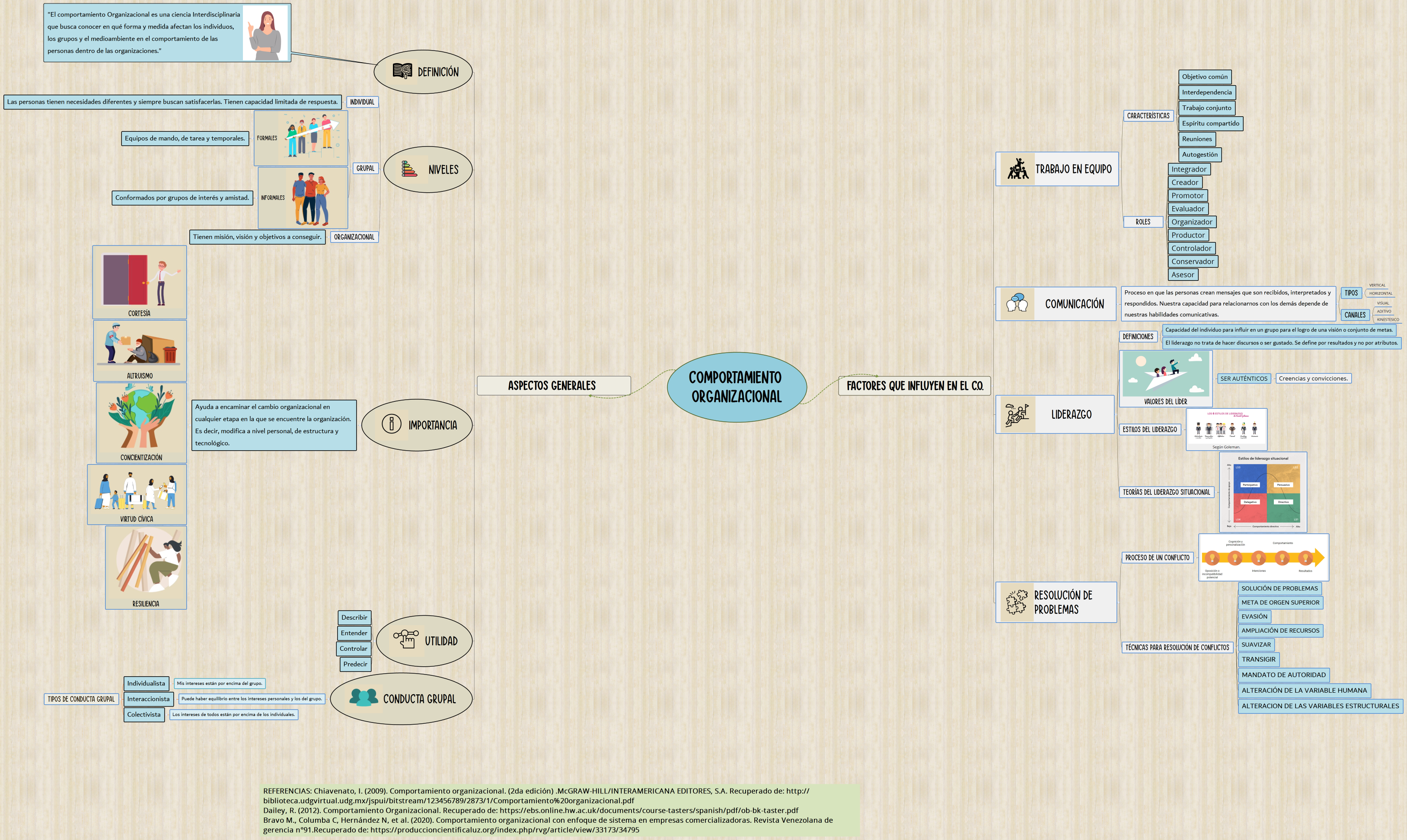 Comportamiento Organizacional