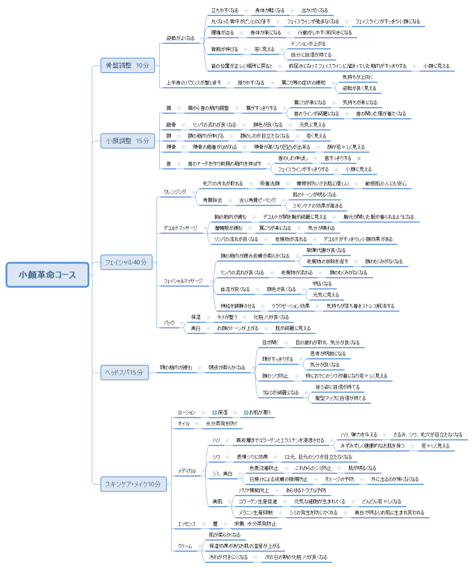 小顔革命コース