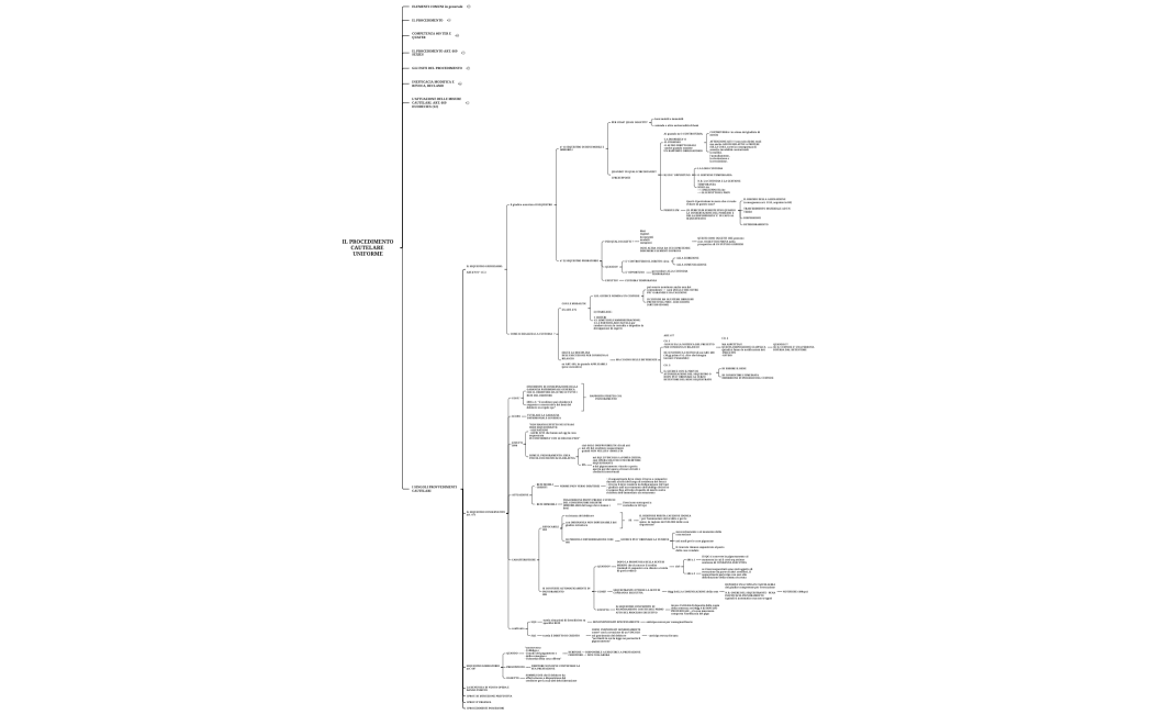 IL PROCEDIMENTO CAUTELARE  UNIFORME 