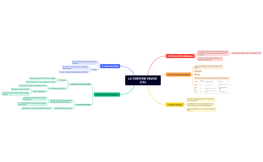 LA CRÉATINE KINASE (CK)