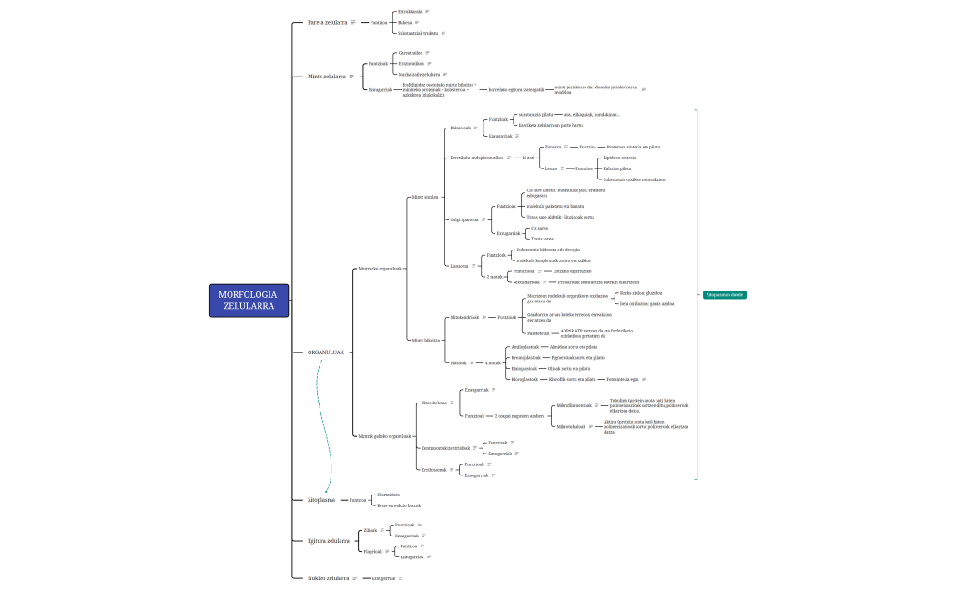 MORFOLOGIA ZELULARRA