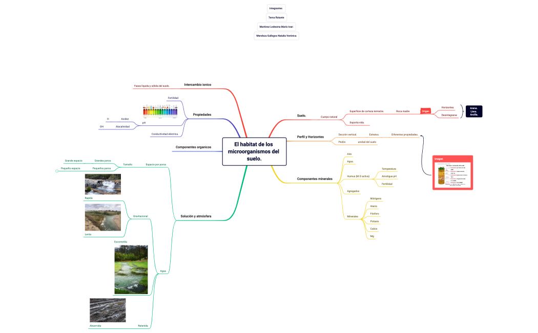 El habitat de los microorganismos del suelo.