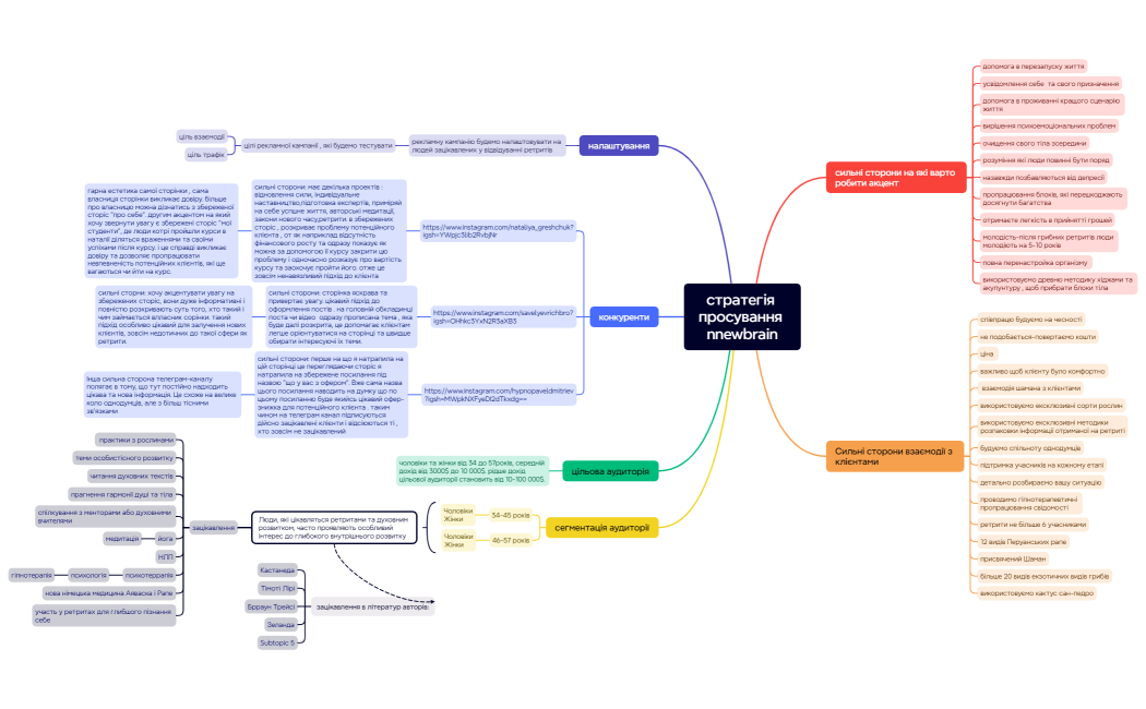 стратегія просування nnewbrain