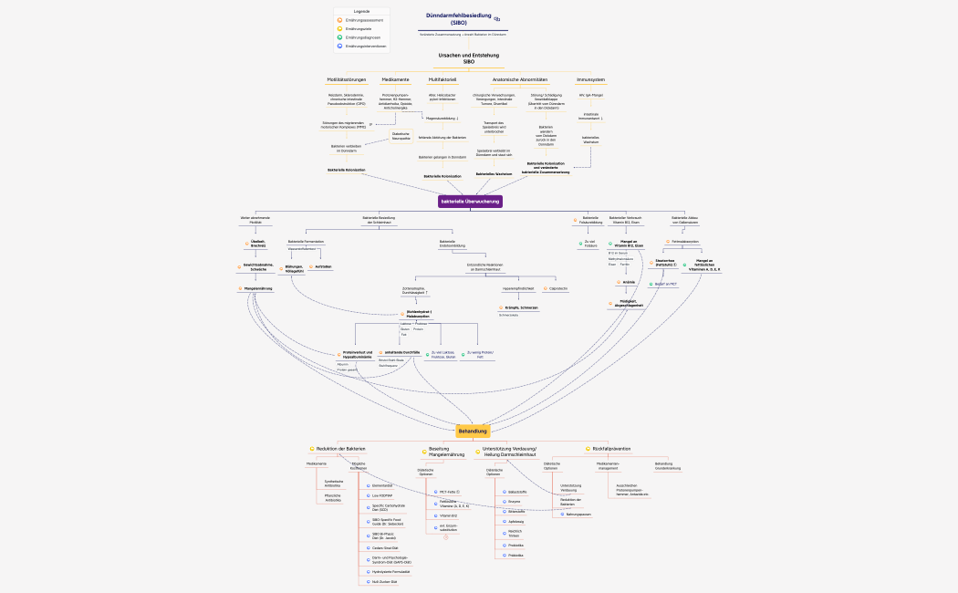 🟠 Dünndarmfehlbesiedlung