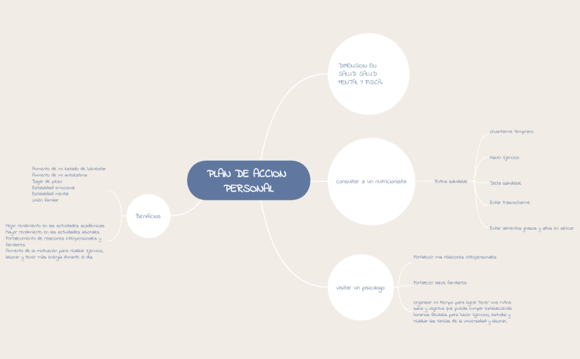 PLAN DE ACCION PERSONAL