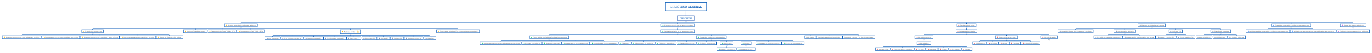 DIRECTEUR GENERAL