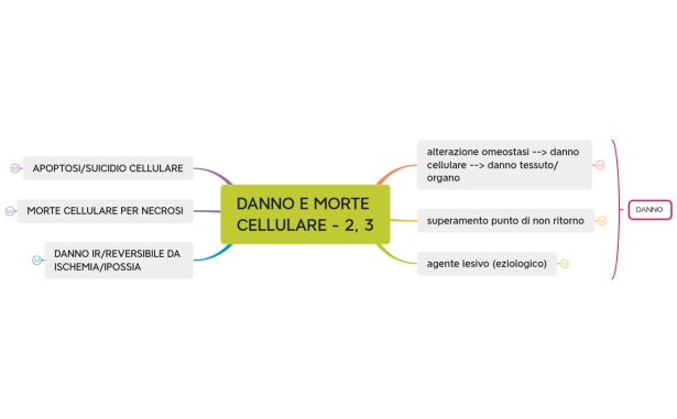 DANNO E MORTE CELLULARE - 2, 3