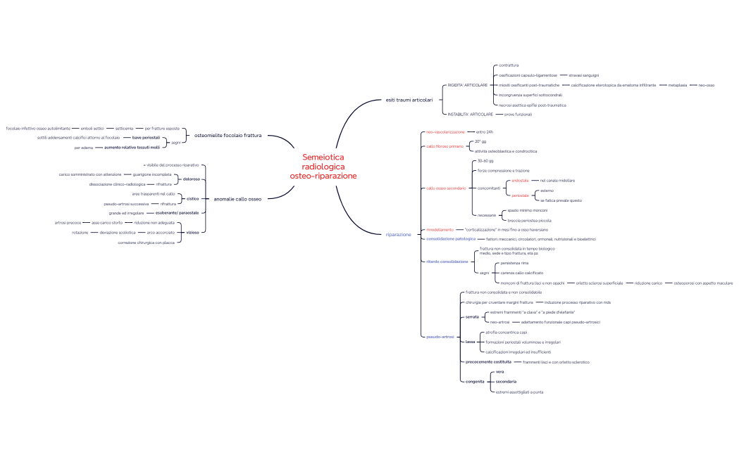 1. Diagnostica del trauma
